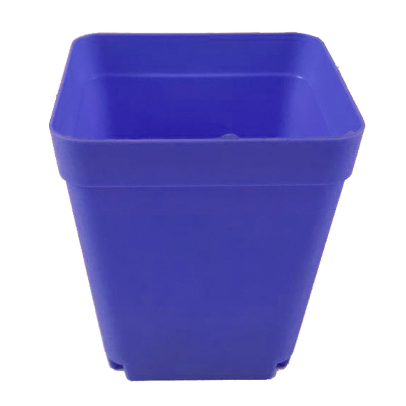Fleshy Seedlings Small Flower Pots Plastic Square Pots Small Black Square Color Square Flower Pots Frosted Thick Colorful Mini Flower Pots