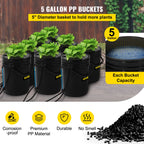DWC Hydroponic System, 5 Gallon 8 Buckets, Deep Water Culture Growing Bucket, Hydroponics Grow Kit With Pump, Air Stone And Water Level Device, For Indoor Outdoor Leafy Vegetables